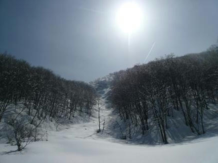 白3/30・１２