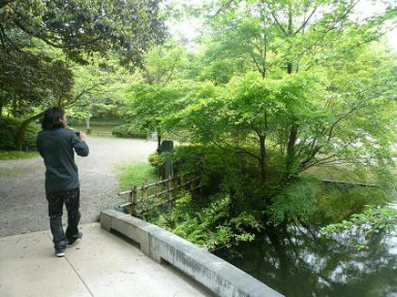 なぶら３・１