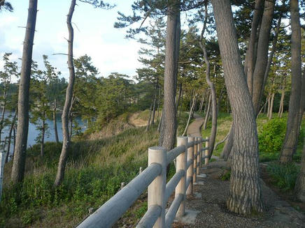 なぶら１５・１０