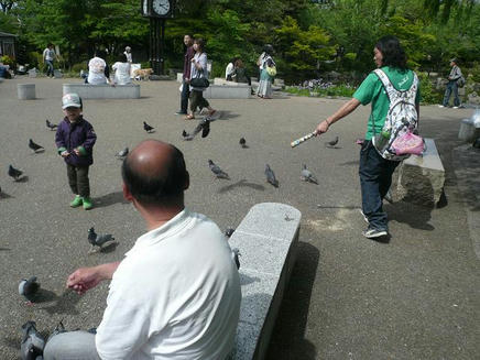なぶら１７・１７