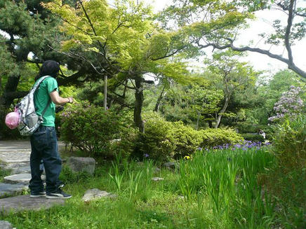 なぶら１８・１