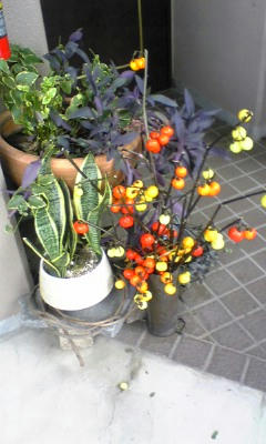 081023_082458.jpg