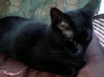 080117.jpg