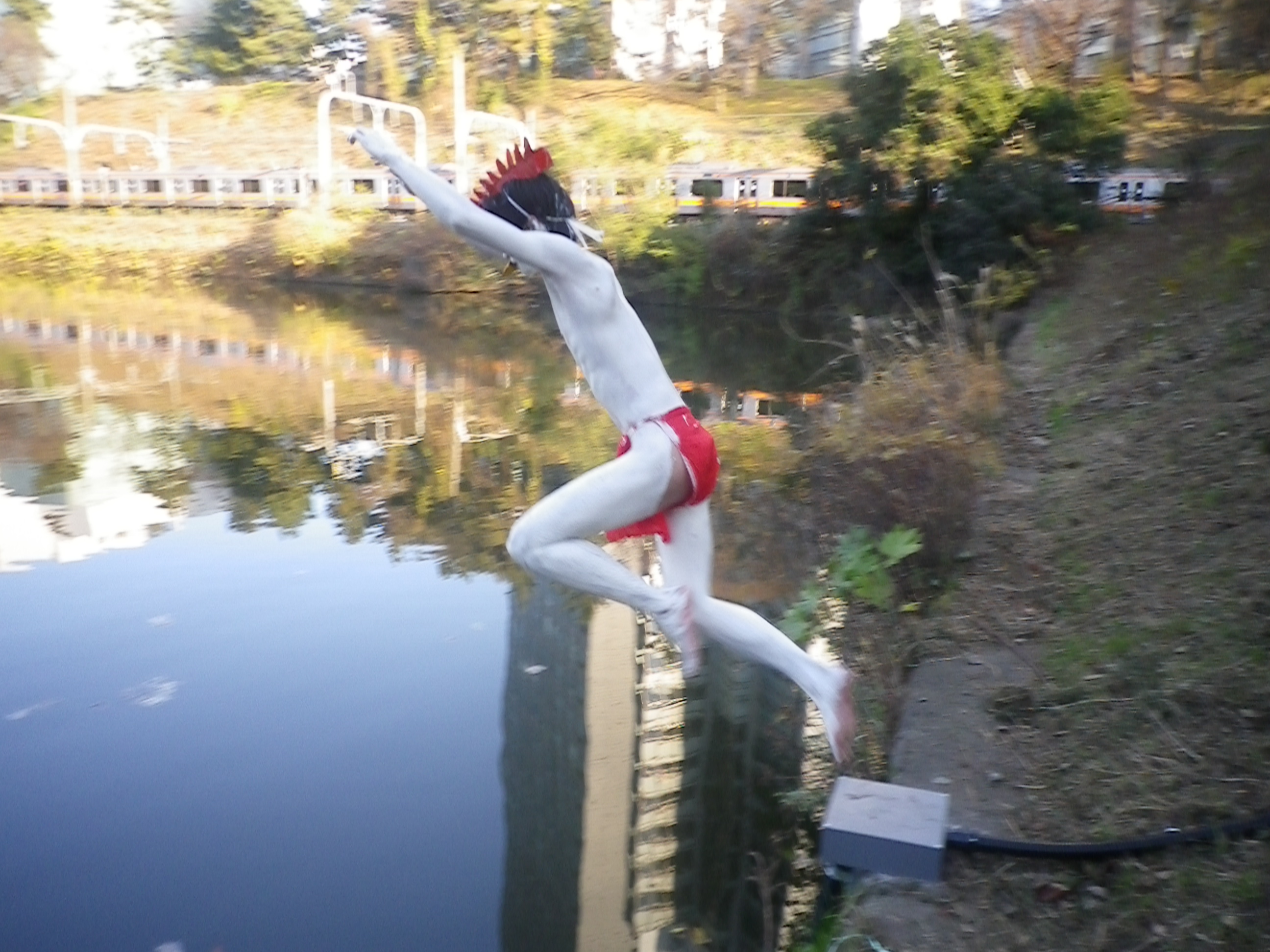 IMGP0165_6.JPG