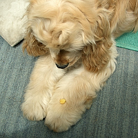 156809667_86.jpg
