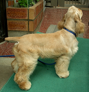 167098052_2.jpg