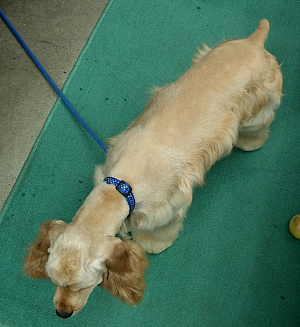 167098052_222.jpg