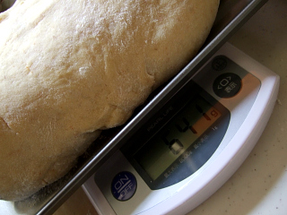 2008-03-16_015.jpg