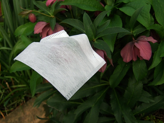 2008-04-07_006.jpg