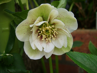 2008-04-07_007.jpg