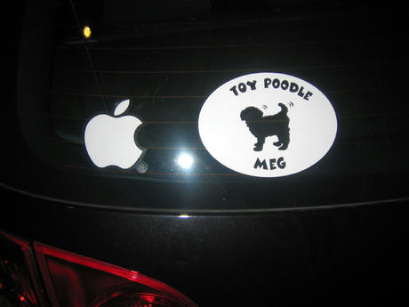 トイプードルステッカー 