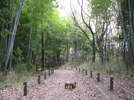 牧野が池