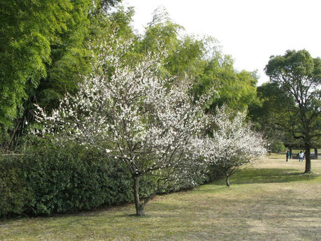 牧野が池