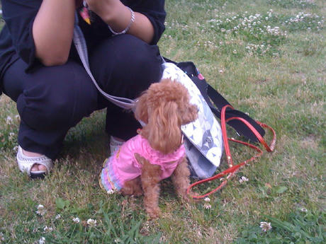 グラッチェちゃん