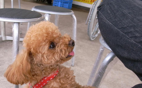 常滑のメグ＆エヴァ