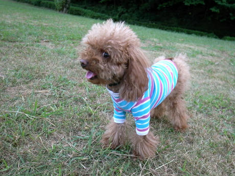 ボヤボヤな母娘