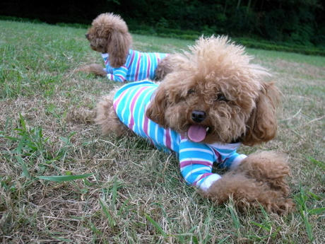 ボヤボヤな母娘