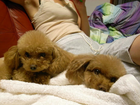 ありがとうございます。