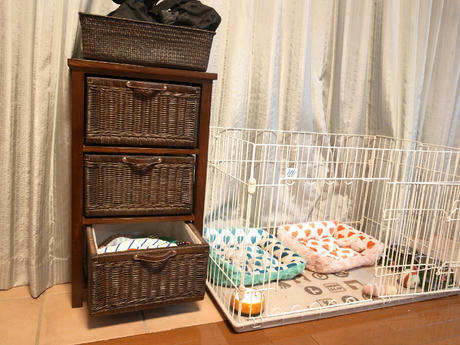 聖域なき大掃除