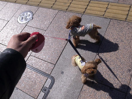 休日の街で・・