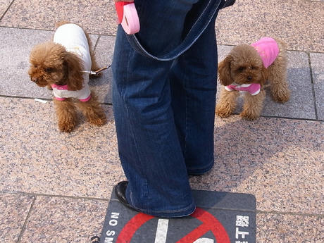 休日の風景・・