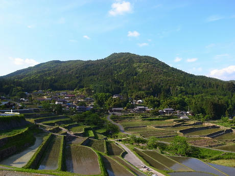 坂折の棚田