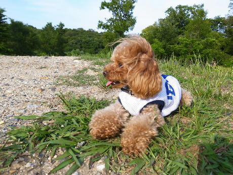 すっかり元気です