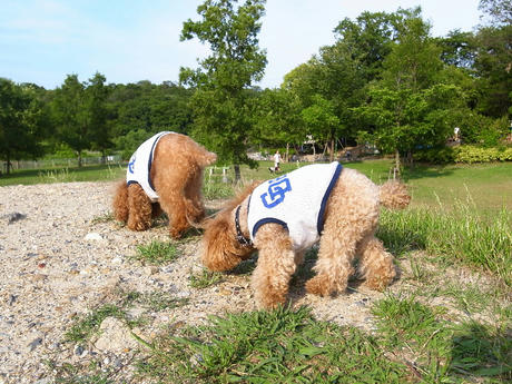 すっかり元気です