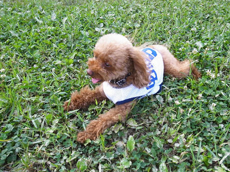 すっかり元気です