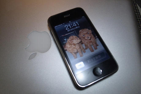iPhone3GS