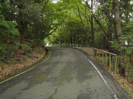 東山ドライブコース