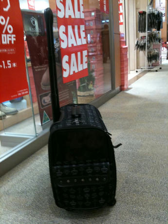 わんこキャリーバッグ