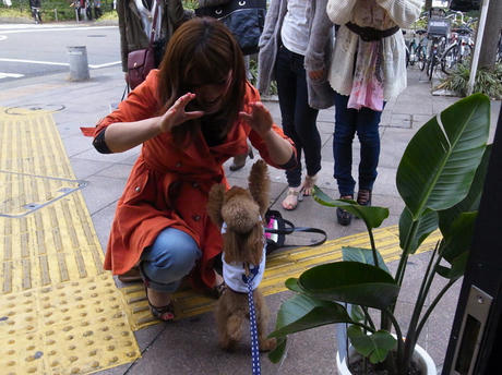 タイ料理屋さん