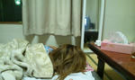 DSC_0103-1.jpg