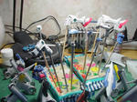 DSC03013.JPG