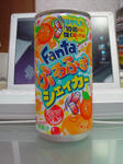 DSC03954.JPG