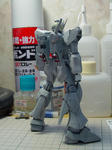 fd81d765.jpg