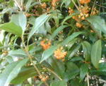 1683d347.jpg