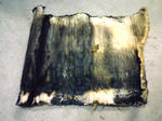126.JPG