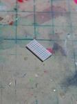 1b342177.JPG