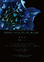 041f569c.gif