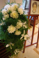 IMGP8890.JPG
