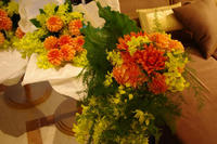 IMGP8912.JPG
