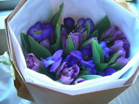 DSCN8013.JPG
