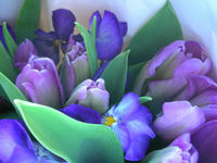DSCN8015.JPG