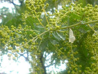 SN3D0021.JPG