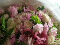 DSCN8025.JPG