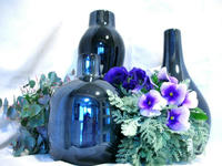 DSCN8029.JPG