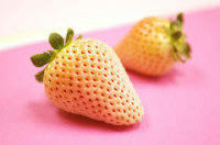 20090207-00000005-tkwalk-ent-thum-000.jpg
