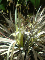 SN3D0332.jpg
